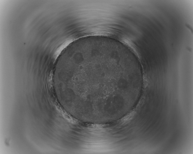 X0000103270875200809122133