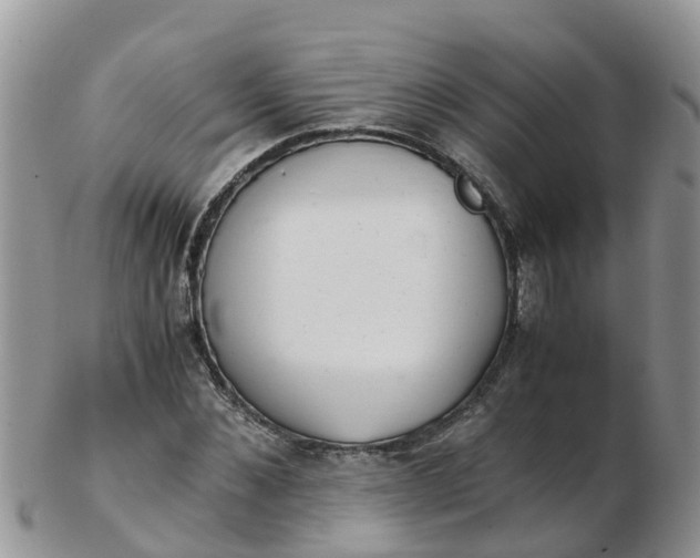 X0000103270876200809122133