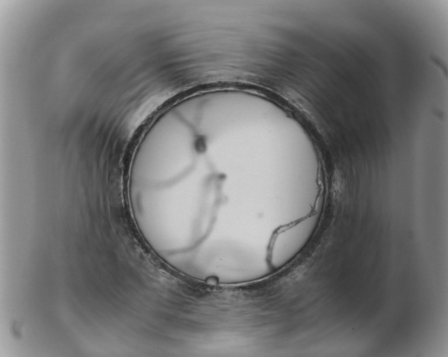 X0000103270877200809122133
