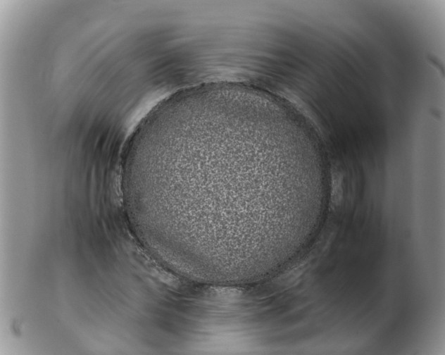 X0000103270878200809122133