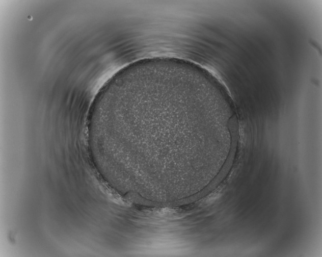 X0000103270879200809122133