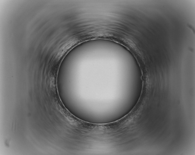 X0000103270881200809122133