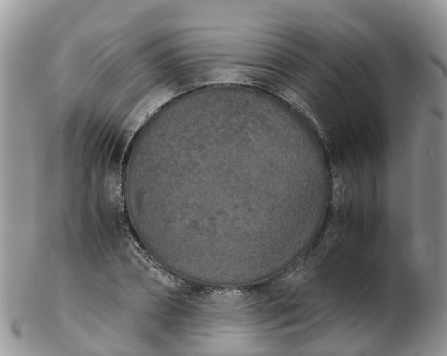 X0000103270882200809122133