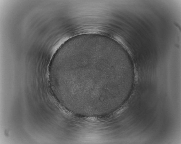 X0000103270883200809122133