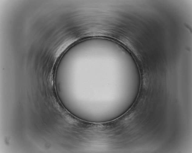 X0000103270885200809122133