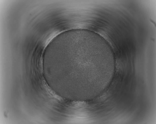 X0000103270886200809122133