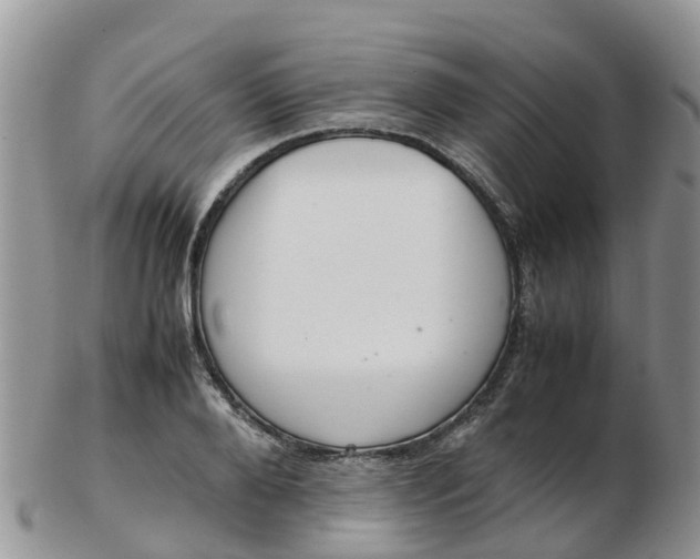 X0000103270888200809122133