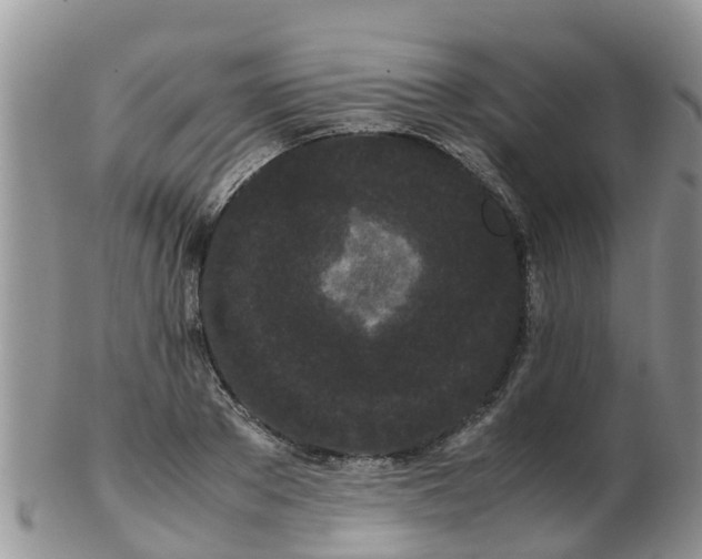 X0000103270889200809122133