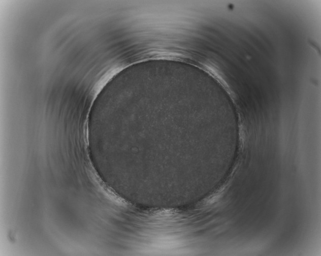X0000103270891200809122133