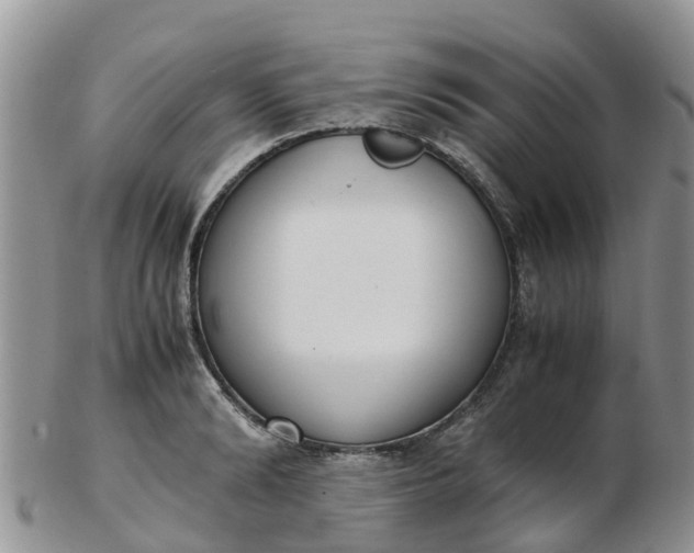 X0000103270894200809122133