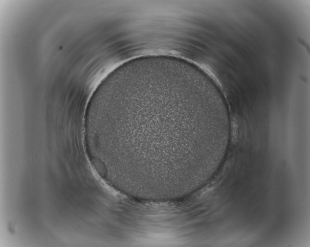 X0000103270895200809122133