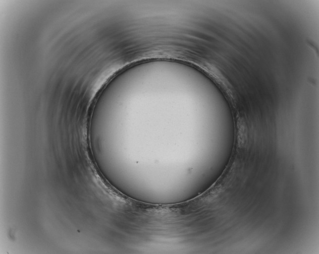X0000103270896200809122133