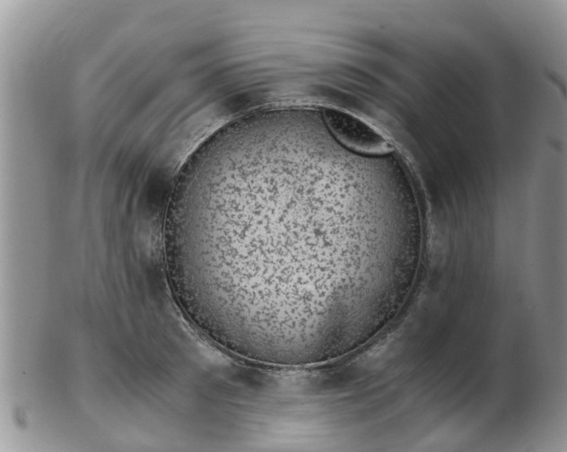 X0000103270897200809122133