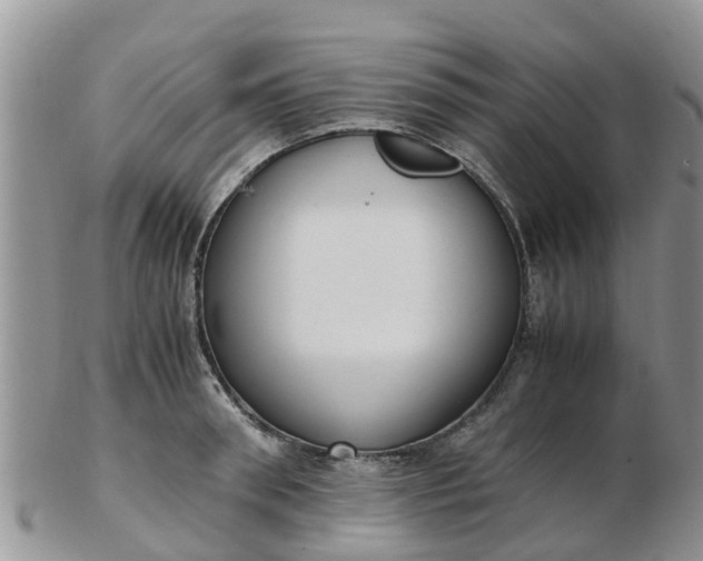 X0000103270898200809122133