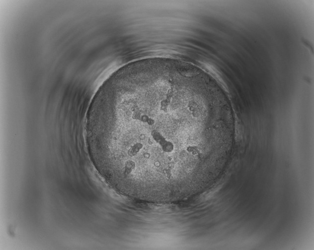 X0000103270899200809122133