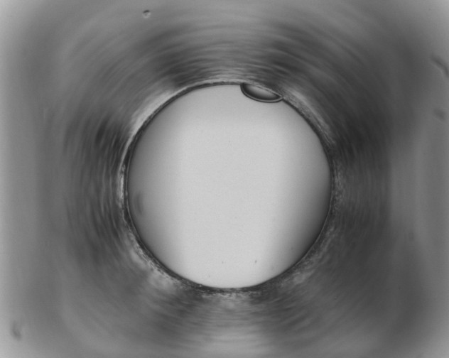 X0000103270900200809122133