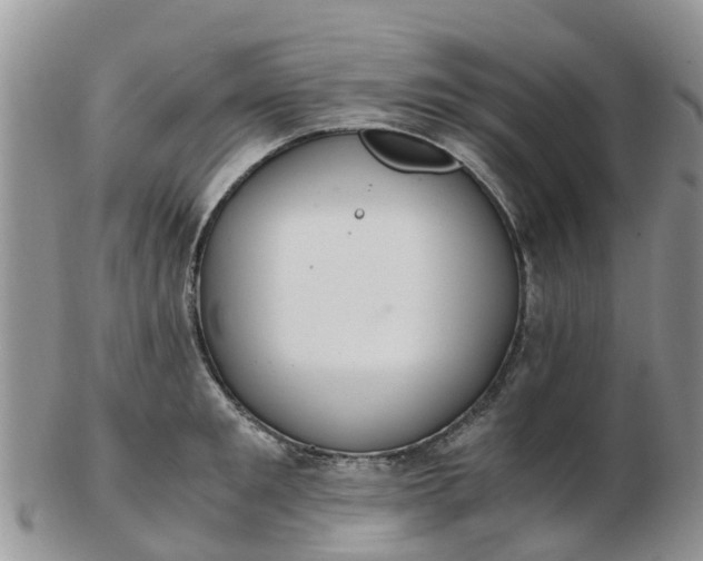 X0000103270901200809122133