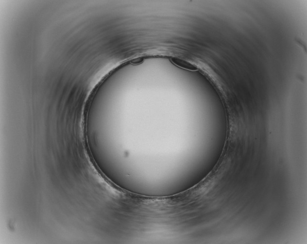 X0000103270902200809122133
