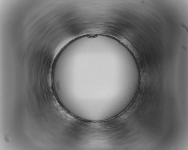 X0000103270904200809122133