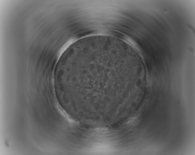 X0000103270907200809122133