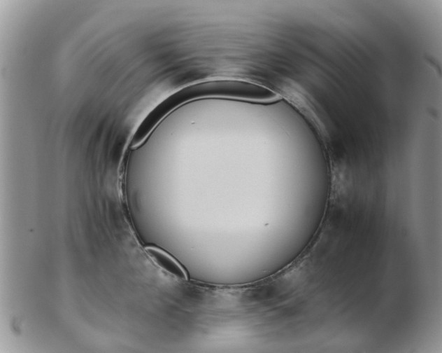 X0000103270908200809122133