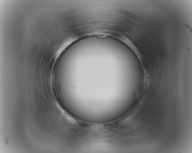 X0000103270909200809122133
