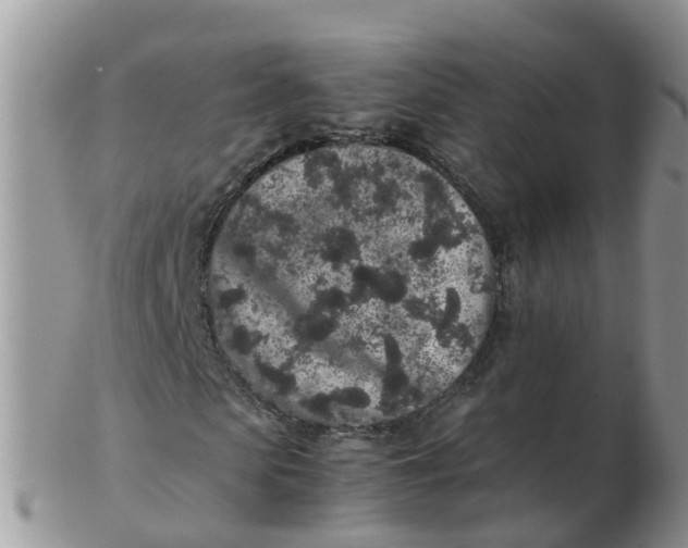 X0000103270913200809122132