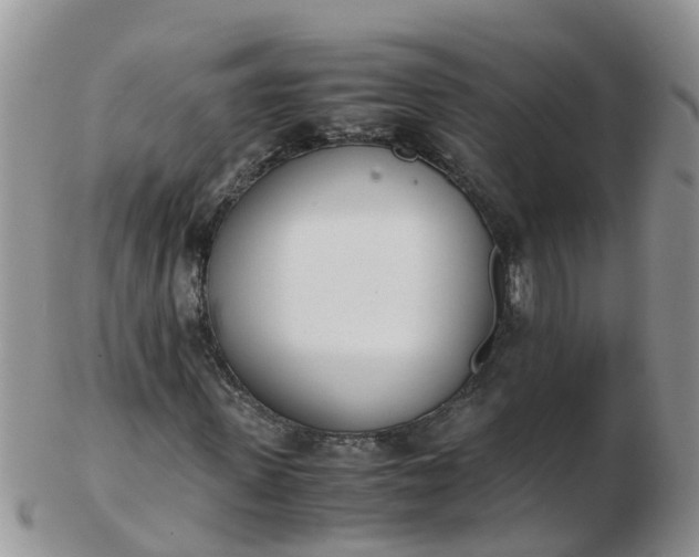 X0000103270915200809122132