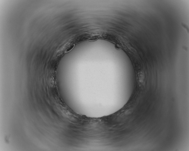 X0000103270916200809122132