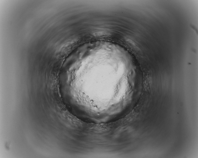 X0000103270917200809122132