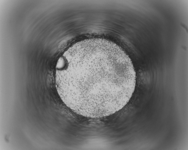 X0000103270918200809122132