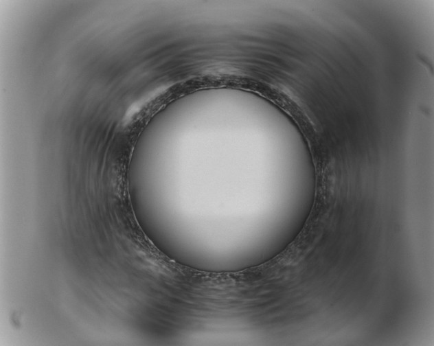 X0000103270919200809122132