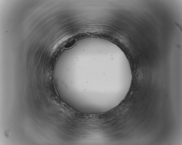 X0000103270920200809122132