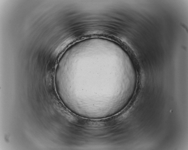 X0000103270921200809122132