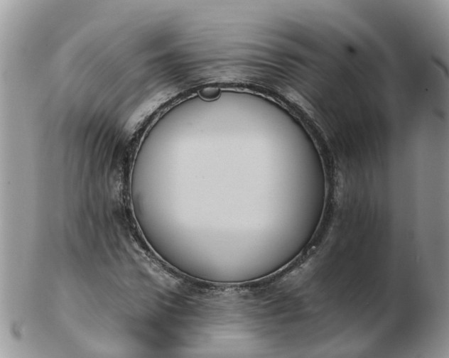 X0000103270922200809122132