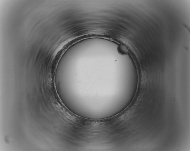 X0000103270923200809122132