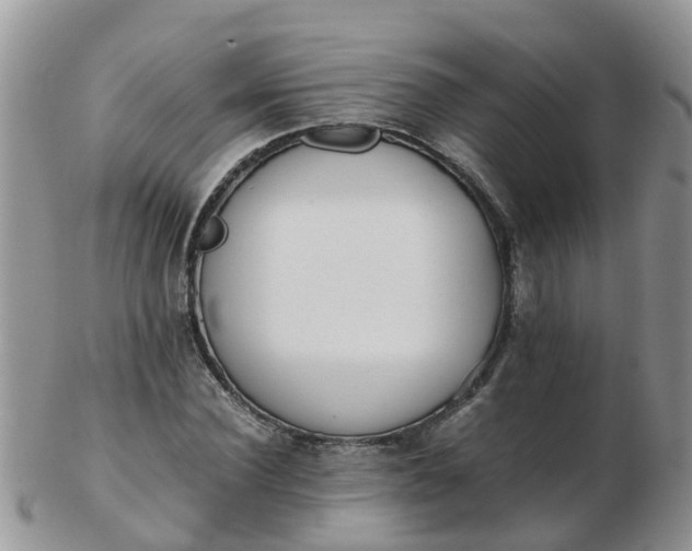 X0000103270924200809122132