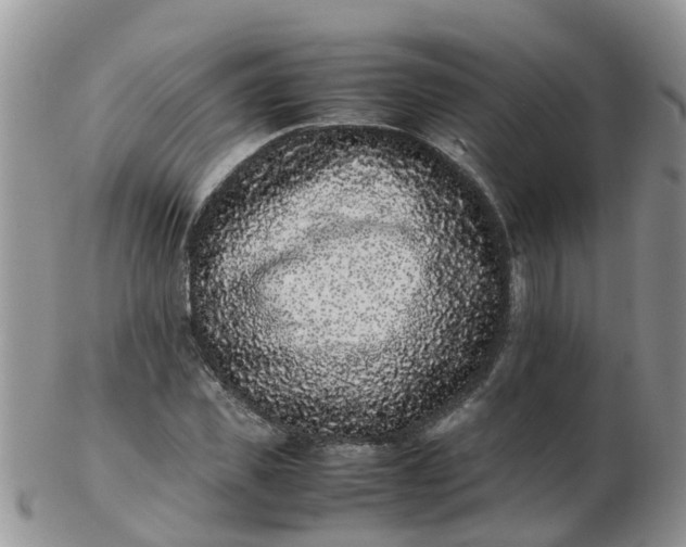 X0000103270925200809122132
