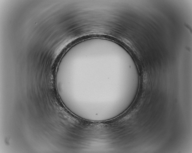 X0000103270926200809122132