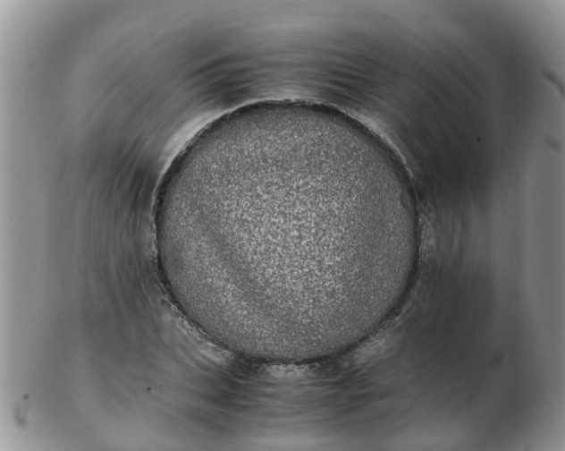 X0000103270927200809122132