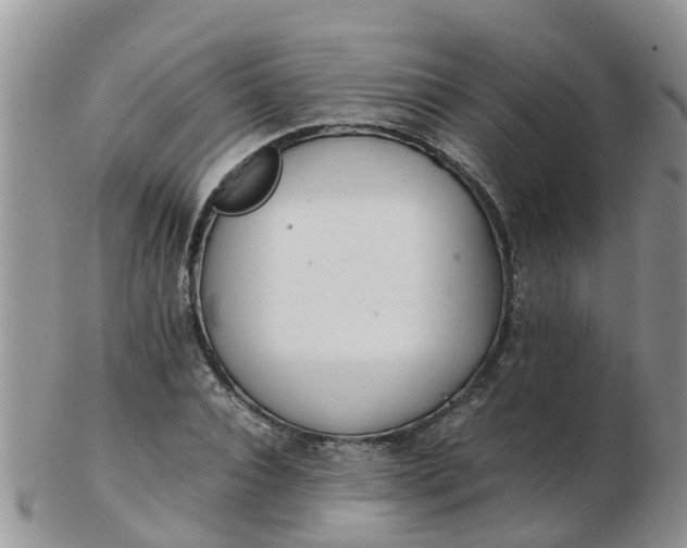 X0000103270928200809122132