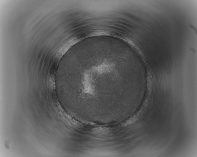 X0000103270929200809122132