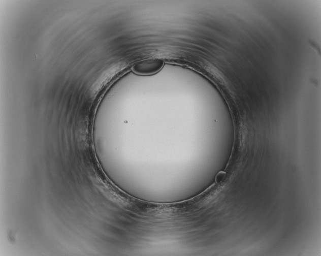 X0000103270930200809122132