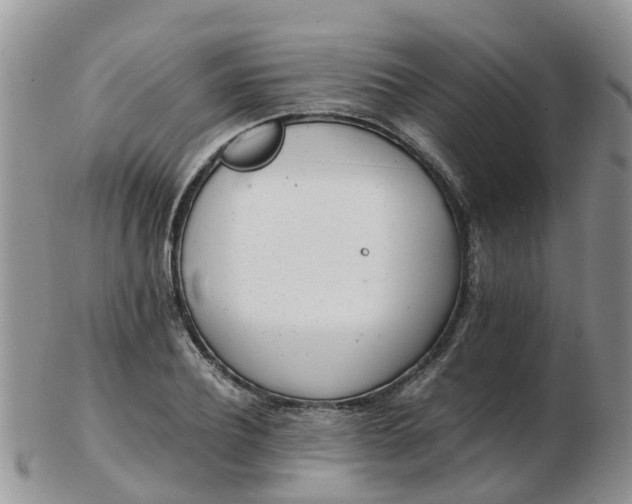 X0000103270932200809122132