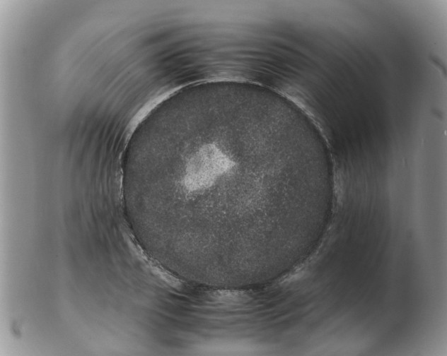 X0000103270933200809122132