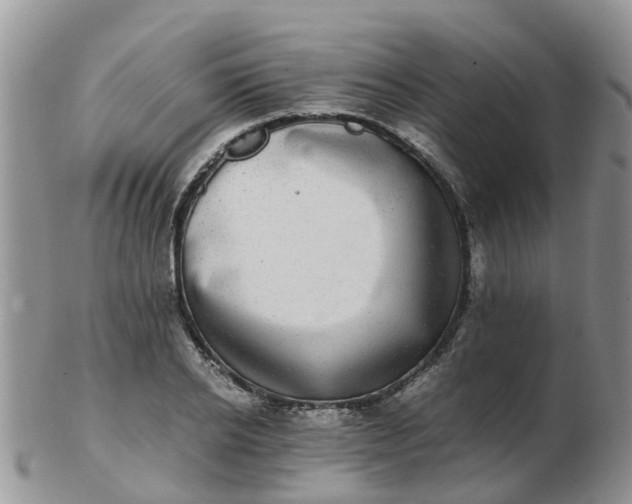 X0000103270934200809122132