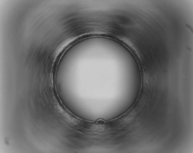 X0000103270935200809122132