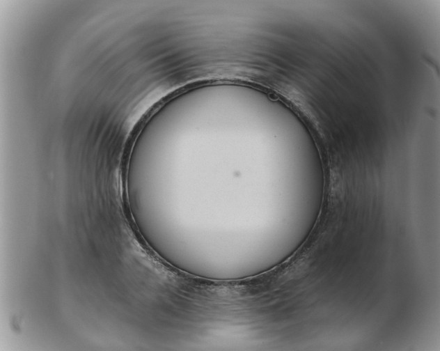 X0000103270936200809122132