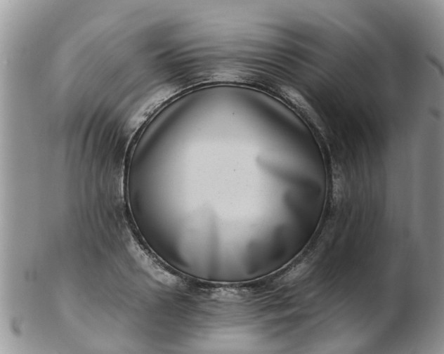 X0000103270938200809122132