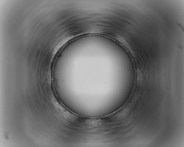 X0000103270939200809122132